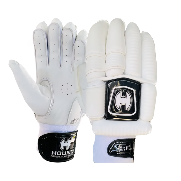 HOUND 251 NOT OUT Cricket Batting Gloves – Premium Protection for Maximum Runs